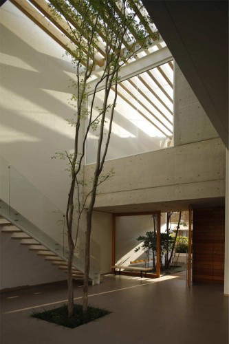 Lucke Orozco House / Hernandez Silva Arquitectos