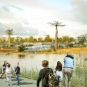 New Saint Petersburg Zoo Africa artefactory