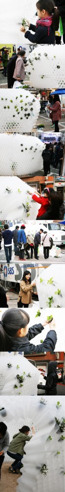 Hello Mongol (HM VER 1.0; ABSORBING GER) / Seoul Manifesto