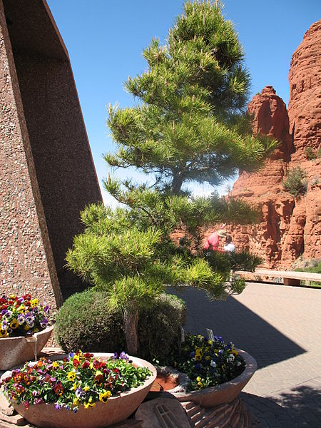 AD Classics: Chapel of the Holy Cross / Richard Hein