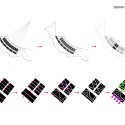 Marine Terrace Resort Marine Terrace Resort design process diagram 03