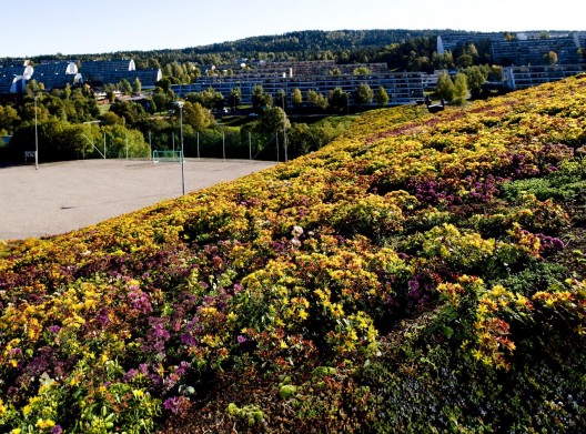 Rommen School and Cultural Center / Østengen & Bergo AS