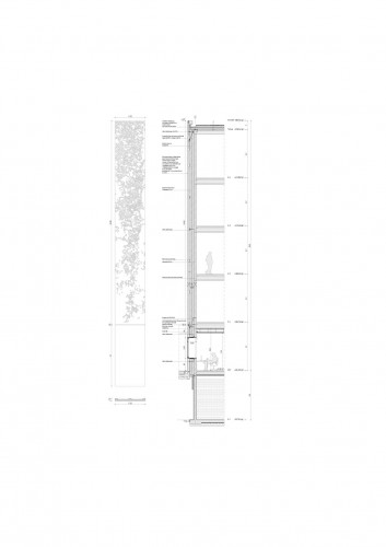 elevation