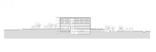 section 01