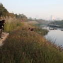 Shanghai Houtan Park / Turenscape Shanghai Houtan Park / Turenscape Courtesy of Turenscape