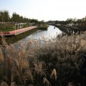 Shanghai Houtan Park / Turenscape Shanghai Houtan Park / Turenscape Courtesy of Turenscape