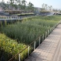 Shanghai Houtan Park / Turenscape Shanghai Houtan Park / Turenscape Courtesy of Turenscape