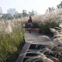 Shanghai Houtan Park / Turenscape Shanghai Houtan Park / Turenscape Courtesy of Turenscape