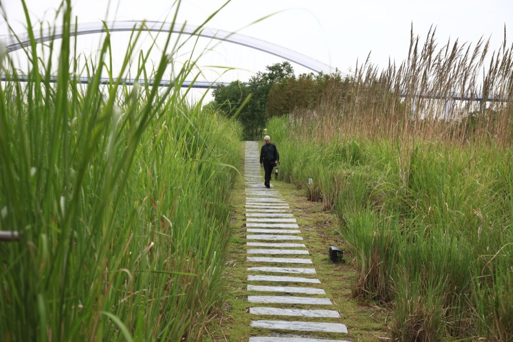 Shanghai Houtan Park / Turenscape