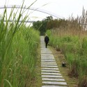 Shanghai Houtan Park / Turenscape