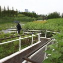 Shanghai Houtan Park / Turenscape Shanghai Houtan Park / Turenscape Courtesy of Turenscape