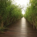 Shanghai Houtan Park / Turenscape