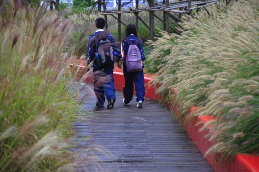 Shanghai Houtan Park / Turenscape