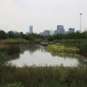 Shanghai Houtan Park / Turenscape Shanghai Houtan Park / Turenscape Courtesy of Turenscape