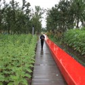 Shanghai Houtan Park / Turenscape Shanghai Houtan Park / Turenscape Courtesy of Turenscape