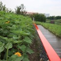 Shanghai Houtan Park / Turenscape Shanghai Houtan Park / Turenscape Courtesy of Turenscape