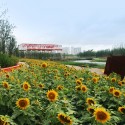 Shanghai Houtan Park / Turenscape Shanghai Houtan Park / Turenscape Courtesy of Turenscape