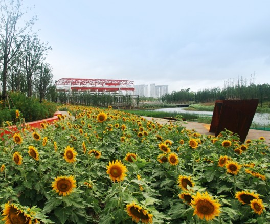 Shanghai Houtan Park / Turenscape