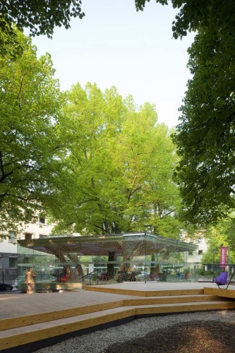 Treehugger / Holger Hoffmann, One Fine Day