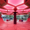 Treehugger / Holger Hoffmann, One Fine Day