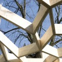 Treehugger / Holger Hoffmann, One Fine Day Treehugger / Holger Hoffmann, One Fine Day © Roland Borgmann, Münster