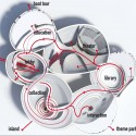 Diagram-Tour © MVRDV