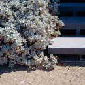 Desert House In California / Marmol Radziner Desert House In California / Marmol Radziner © Joe Fletcher