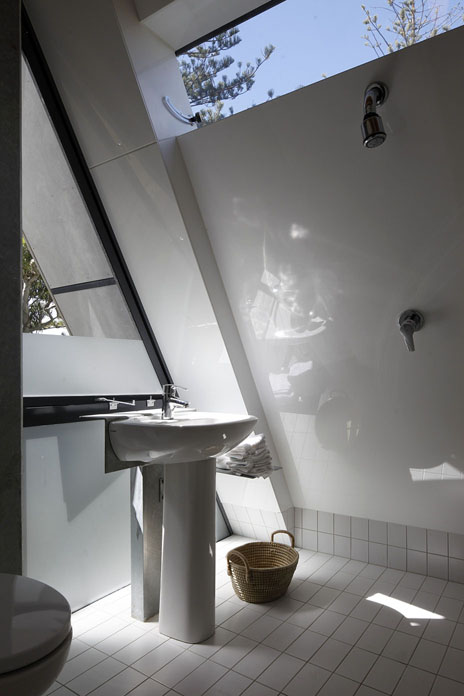 Social Groups House in Auckland / Mitchell and Stout Architects