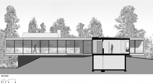 section