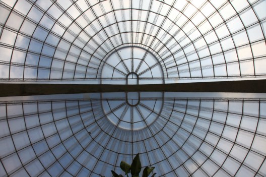 The Orchidarium Professor Ruth Cardoso / Decio Tozzi