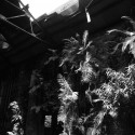 The Paradise Lost in Time / Interbreeding Field © Interbreeding Field