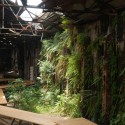 The Paradise Lost in Time / Interbreeding Field © Interbreeding Field