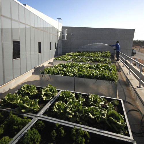 Ubuntu Centre / Field Architecture