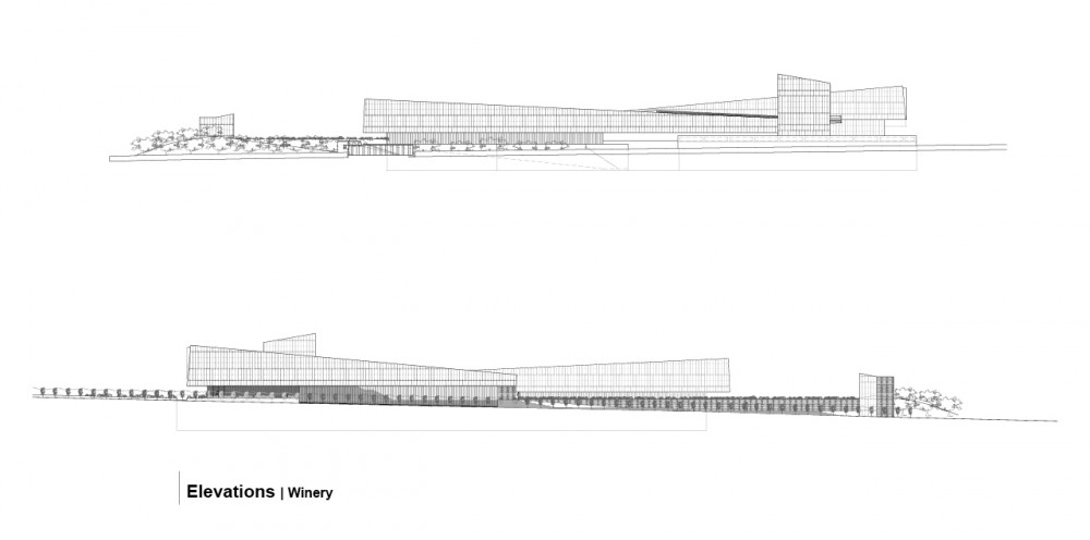 Bodega Bauer Winery / Field Architecture