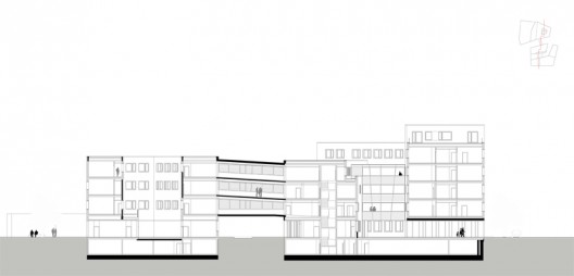 section