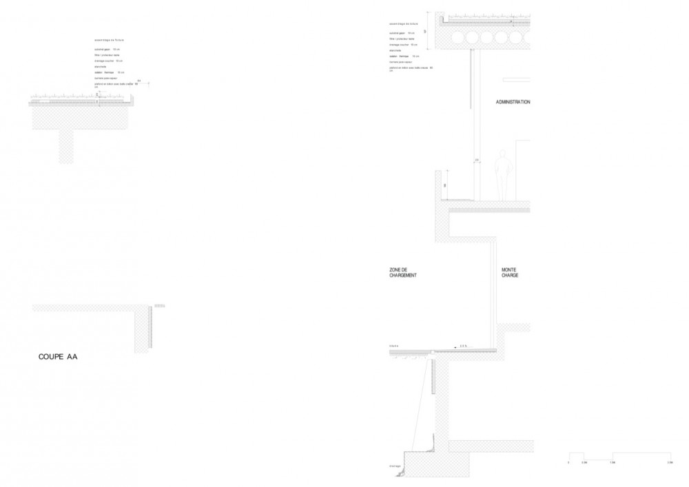 Museum of Ocean and Surf / Steven Holl Architects in collaboration with Solange Fabiao