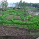 New Jindai Elementary School / TEKTAO/Tongji University New Jindai Elementary School / TEKTAO/Tongji University © Lou Yongqi