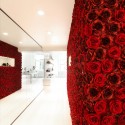 Galante Store / Creneau International Galante Store / Creneau International © Philippe Van Gelooven