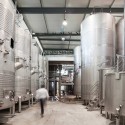Logowines Winery / PMC Arquitectos © João Morgado