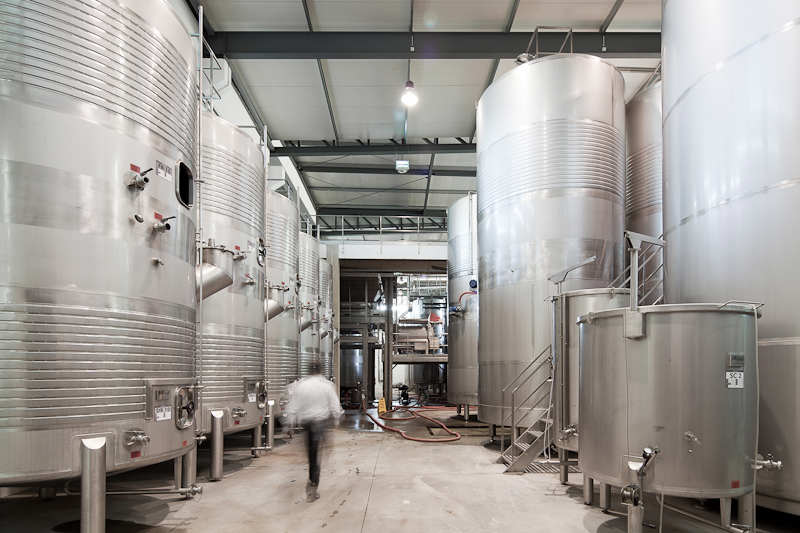 Logowines Winery / PMC Arquitectos
