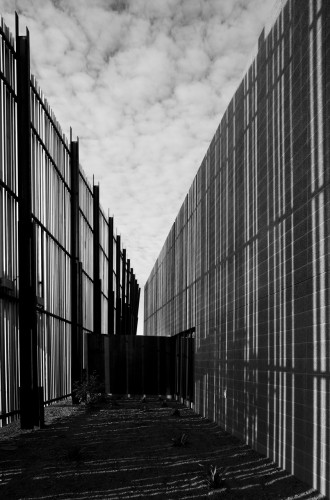 Agave Library / will bruder+PARTNERS