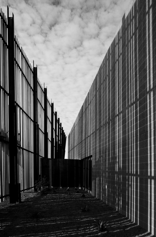 Agave Library / will bruder+PARTNERS