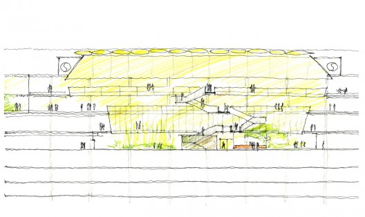 section