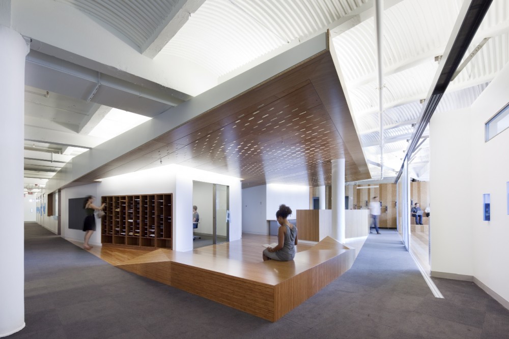Department of Social and Cultural Analysis / LTL Architects