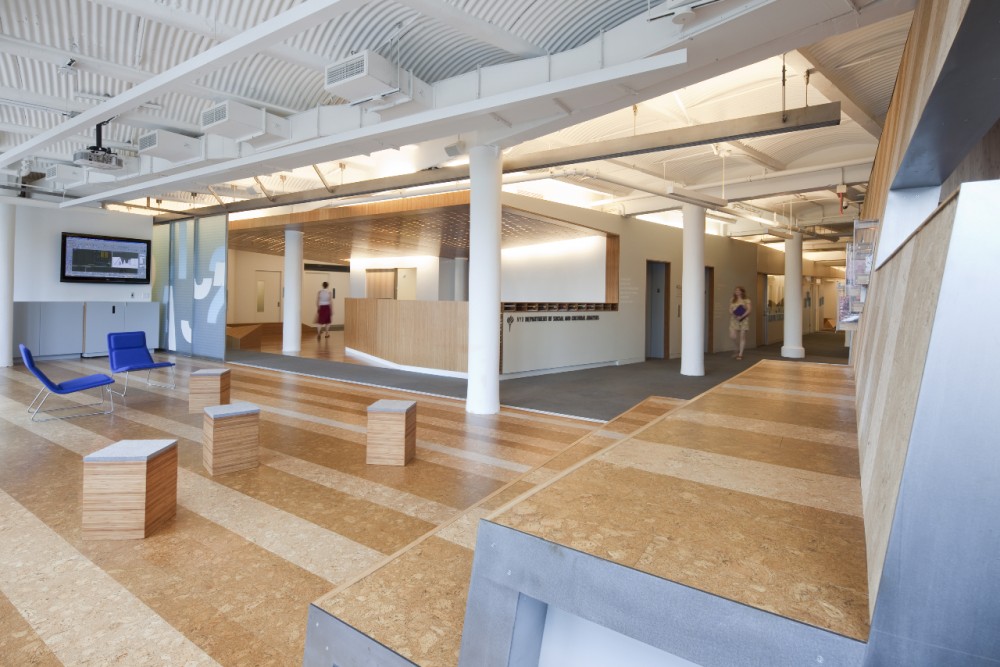 Department of Social and Cultural Analysis / LTL Architects