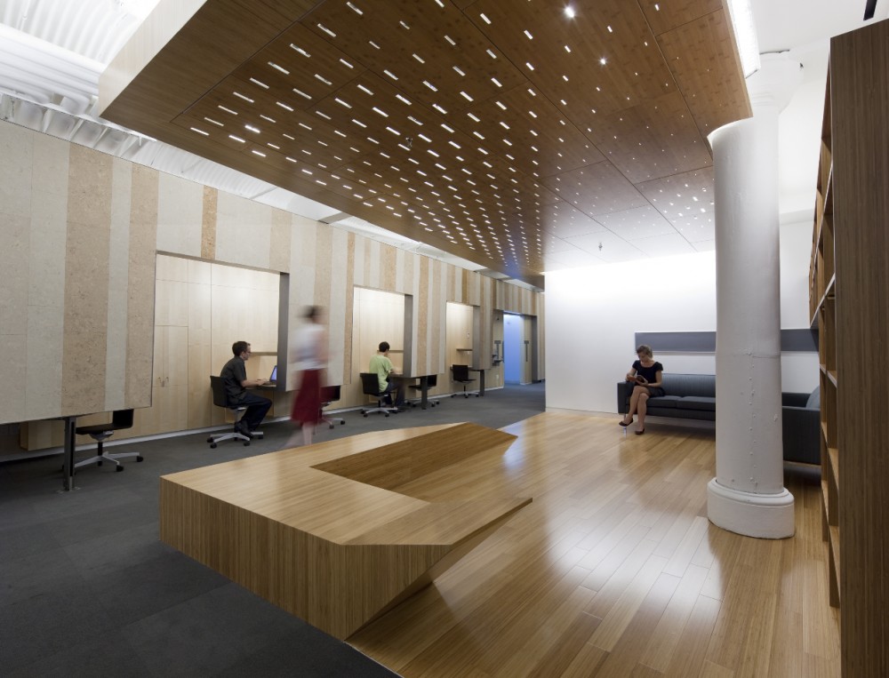Department of Social and Cultural Analysis / LTL Architects