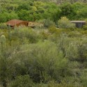 Pond House / will bruder+PARTNERS © Bill Timmerman