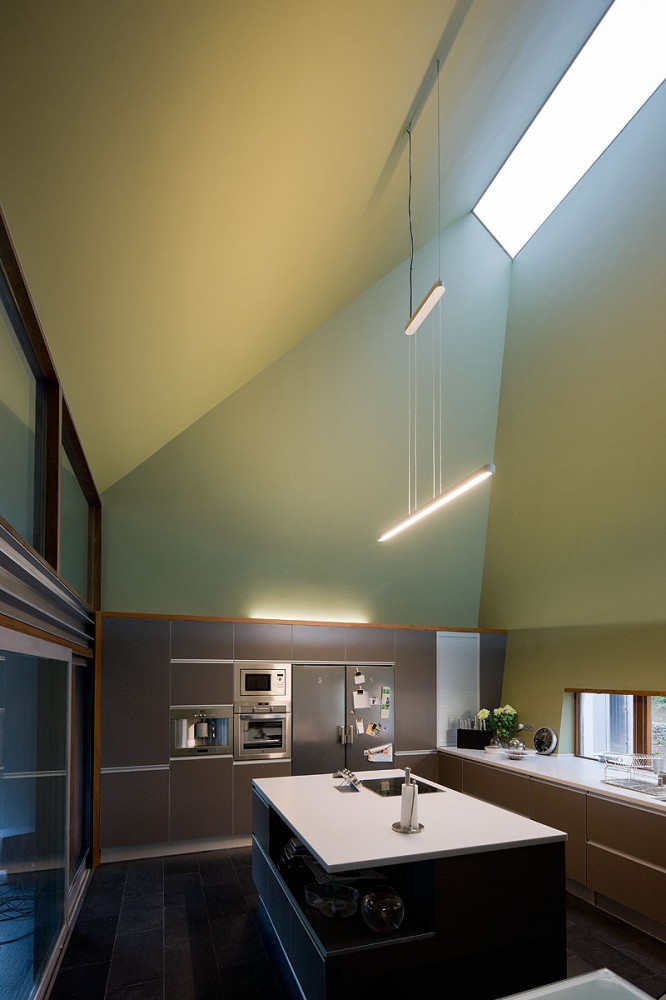 House on the Flight of Birds / Bernardo Rodrigues