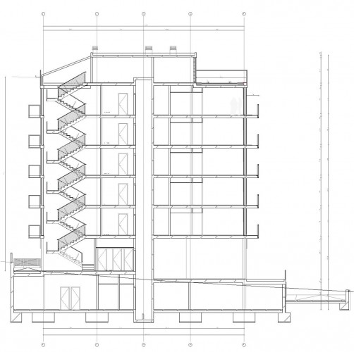 section