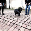 Video: La Ville Molle Video: La Ville Molle © Atelier Raum Architects
